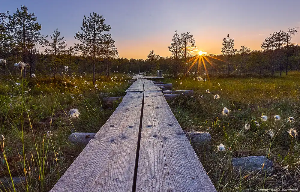 Linnaistensuo auringonlasku